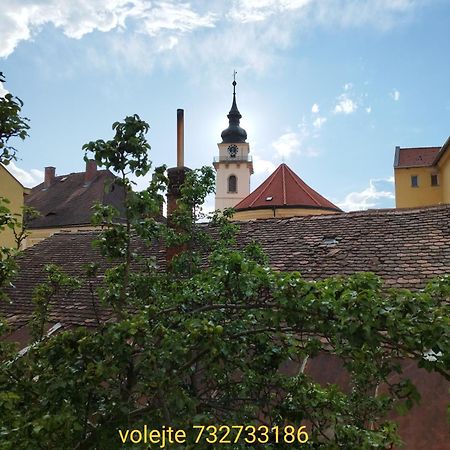Apartman Horni Hermanuv Mestec U Chrudimi Exteriér fotografie